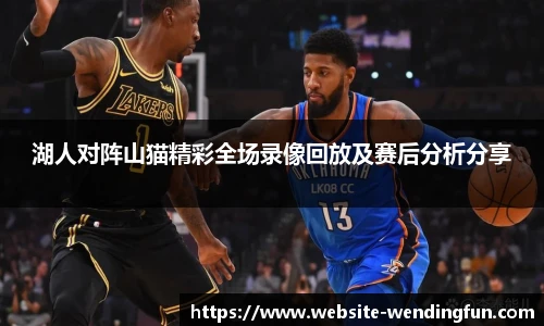 湖人对阵山猫精彩全场录像回放及赛后分析分享