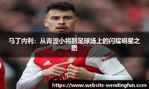 马丁内利：从青涩小将到足球场上的闪耀明星之路